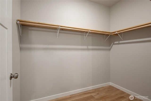 walk in closet featuring light wood-style flooring