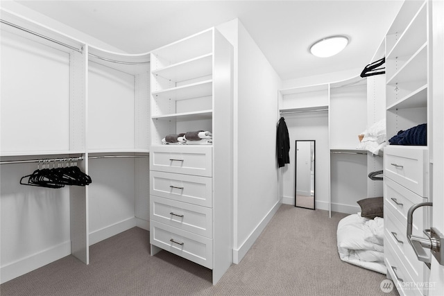 spacious closet with carpet