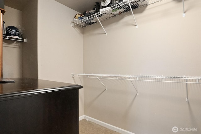 spacious closet featuring carpet floors