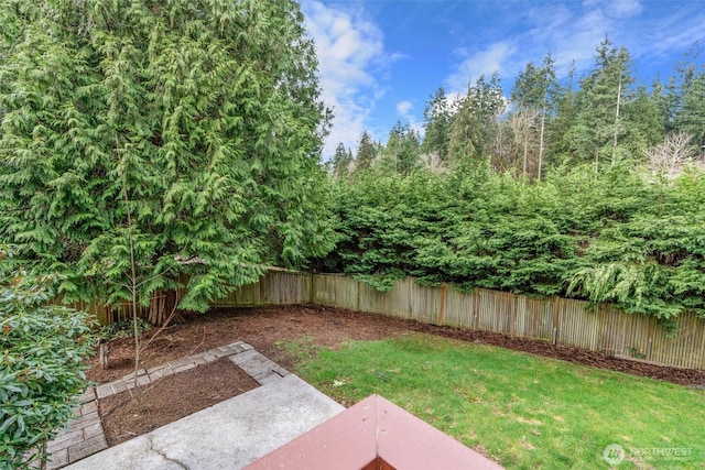 view of yard with a fenced backyard and a patio area