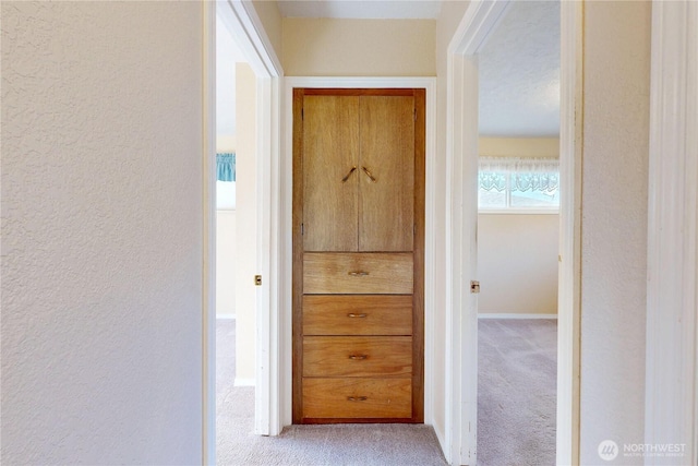 515 SE 5th St, College Place, WA 99324 - hall featuring a textured wall and light colored carpet
