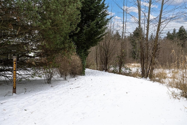 view of yard layered in snow