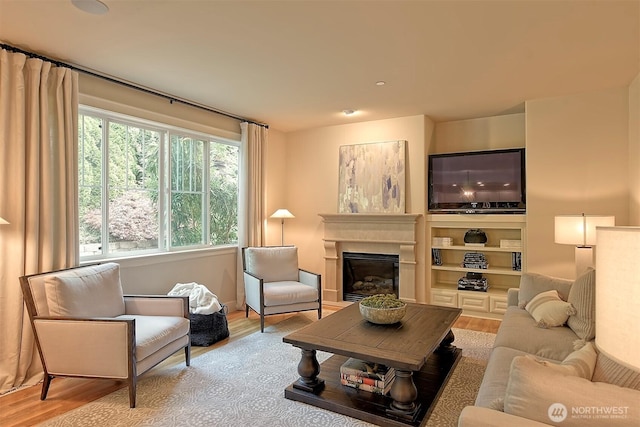 living room with a glass covered fireplace and wood finished floors