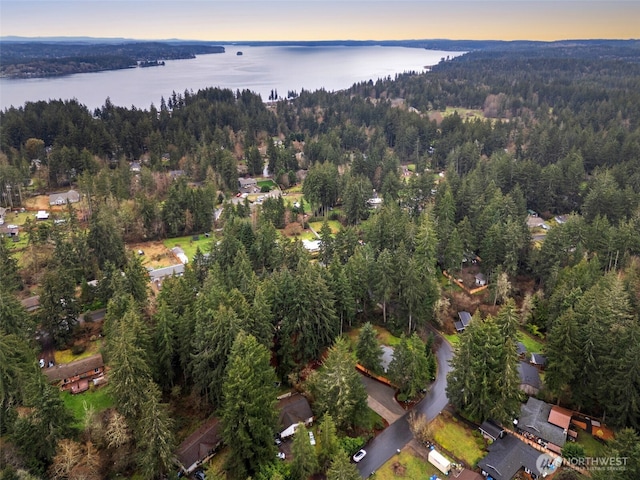 aerial view at dusk with a view of trees and a water view