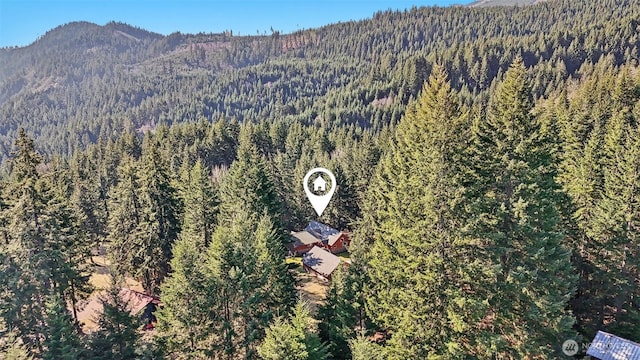 drone / aerial view with a mountain view and a view of trees