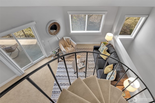 stairway featuring carpet floors, a healthy amount of sunlight, and baseboards