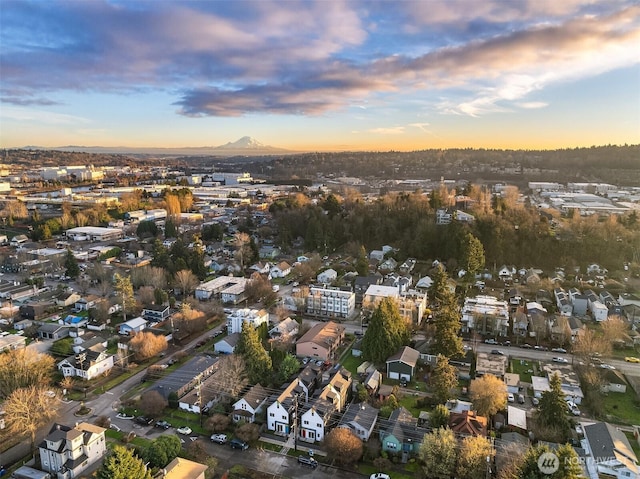 drone / aerial view