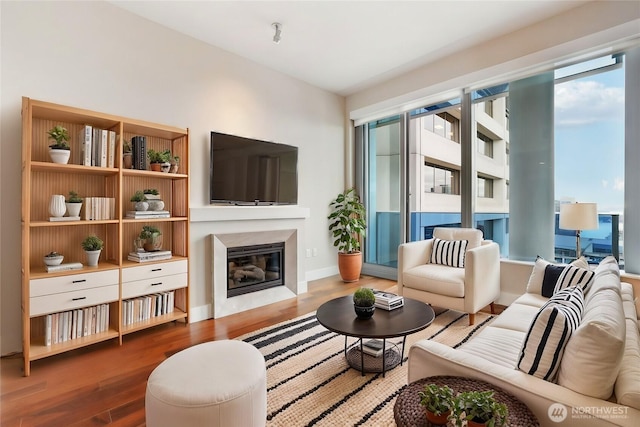 living room featuring a glass covered fireplace and wood finished floors