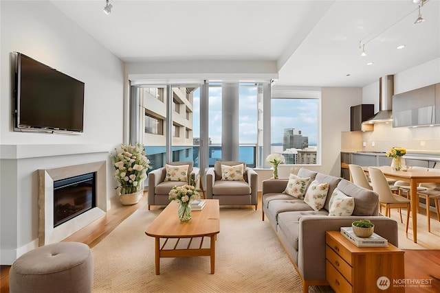 living room featuring rail lighting, wood finished floors, a city view, and a premium fireplace