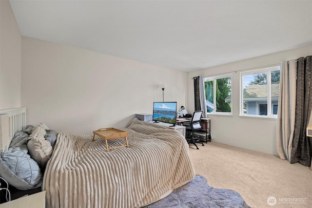 bedroom featuring carpet