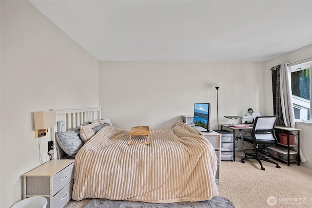 bedroom with carpet