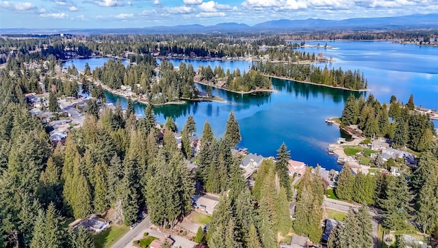 aerial view with a water view and a view of trees