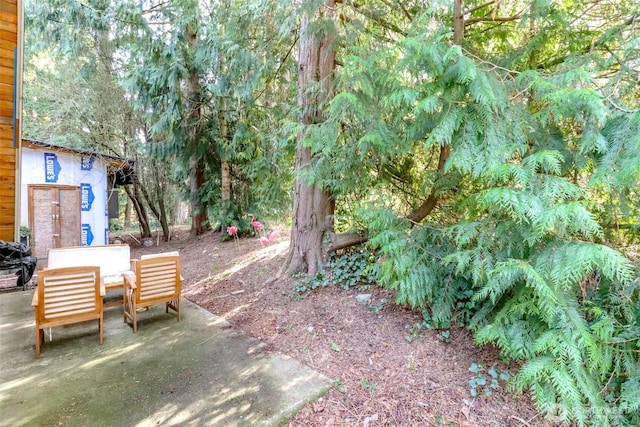 view of yard featuring a patio