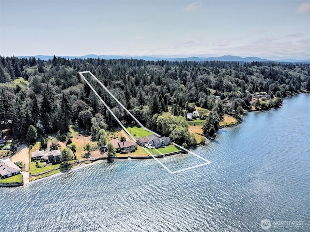 drone / aerial view with a wooded view and a water view