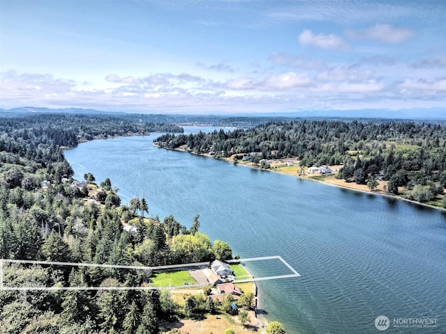 471 SE Old Arcadia Rd, Shelton, WA 98584 - bird's eye view of a forest and a nearby body of water