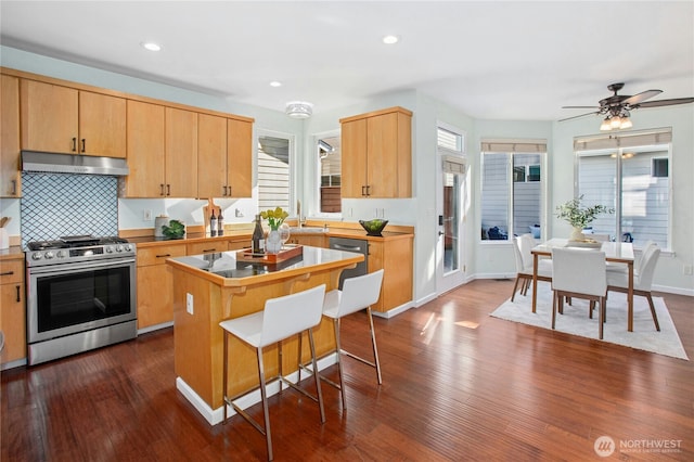 kitchen featuring appliances with stainless steel finishes, dark wood-type flooring, a sink, and under cabinet range hood