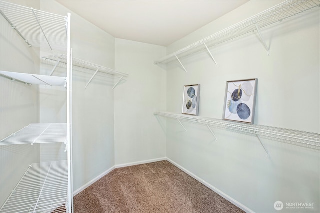 spacious closet with carpet floors