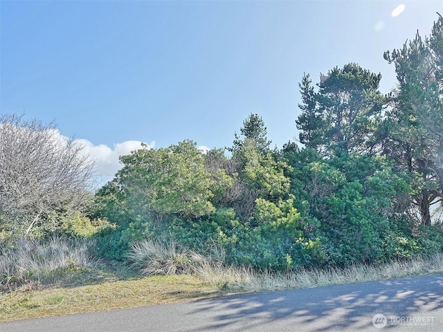 470 Sand Dune Ave SW, Ocean Shores WA, 98569 land for sale