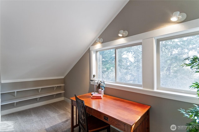 home office featuring lofted ceiling and carpet floors