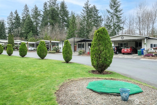 view of yard with a carport and driveway