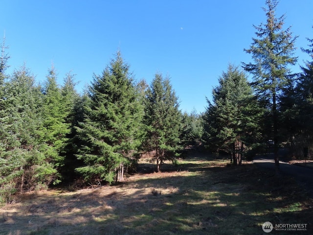 80 Wilson Ln, South Bend WA, 98586 land for sale