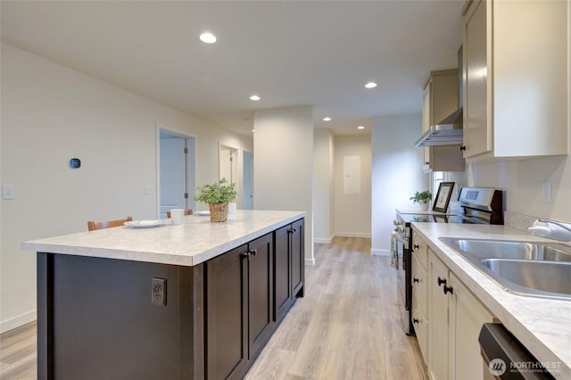 kitchen featuring range hood, light countertops, light wood-style flooring, appliances with stainless steel finishes, and a sink