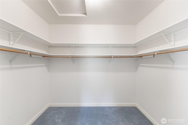 walk in closet featuring carpet floors