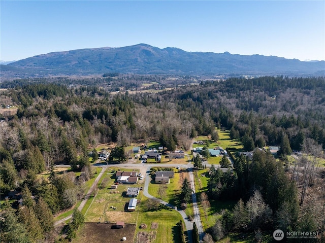 drone / aerial view with a mountain view and a view of trees