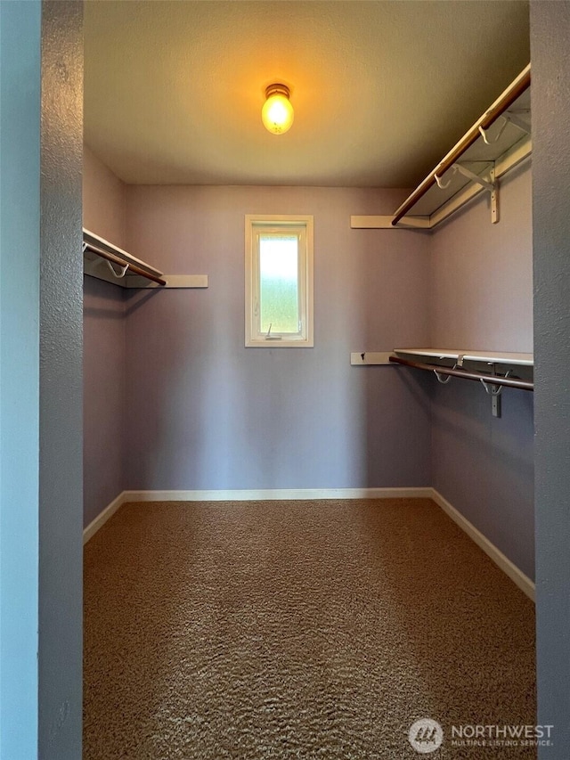 1412 Bonnie View Acres Rd, Oak Harbor, WA 98277 - spacious closet featuring carpet flooring