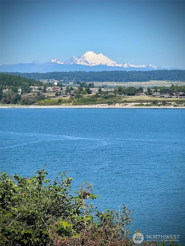 1412 Bonnie View Acres Rd, Oak Harbor, WA 98277 - water view with a mountainous background