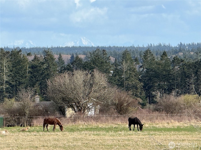 exterior space with a rural view and a view of trees