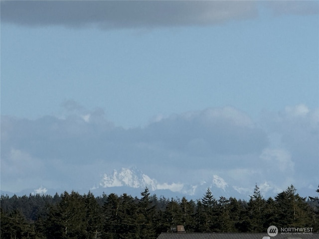 view of mountain feature featuring a forest view