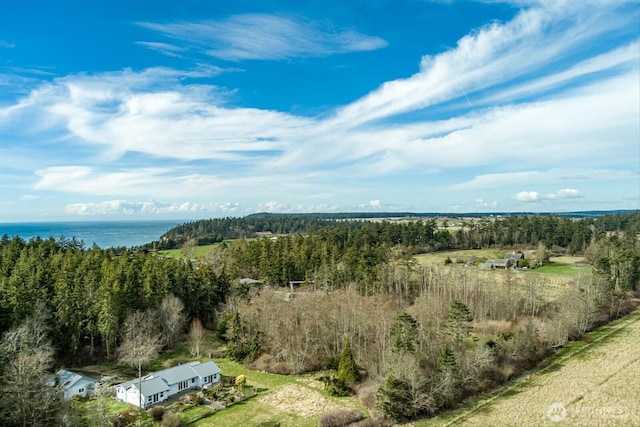 aerial view featuring a water view and a view of trees