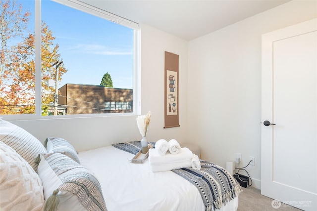 bedroom with carpet flooring