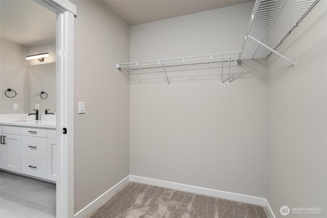 2401 SW Ridgeway Dr, Oak Harbor, WA 98277 - walk in closet with light carpet and a sink
