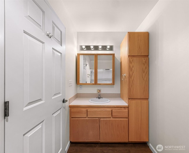 bathroom featuring wood finished floors and vanity