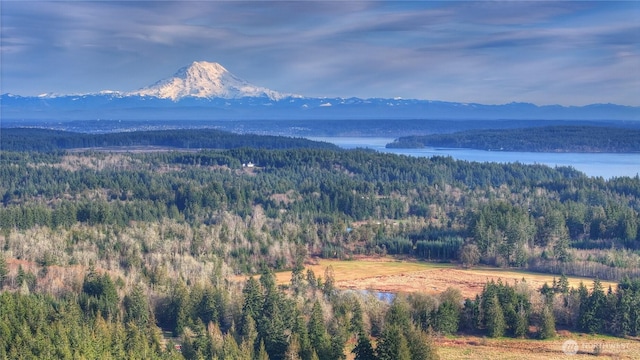 view of mountain feature with a forest view and a water view