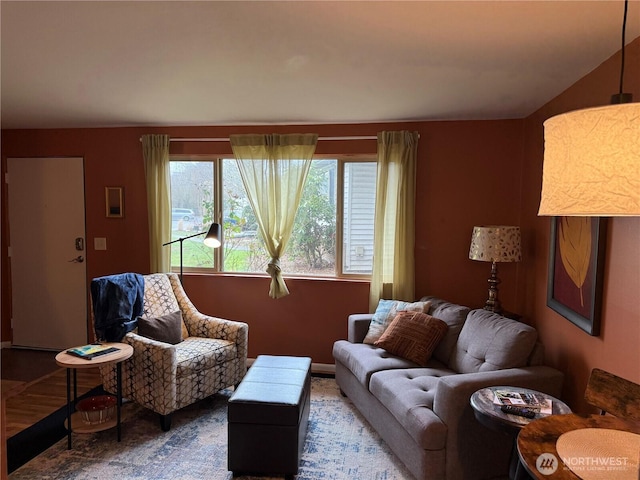 living room featuring wood finished floors