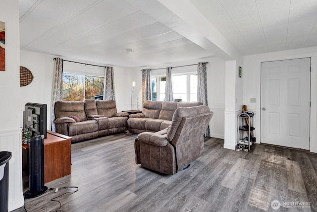 living room featuring a wainscoted wall, wood finished floors, and a healthy amount of sunlight