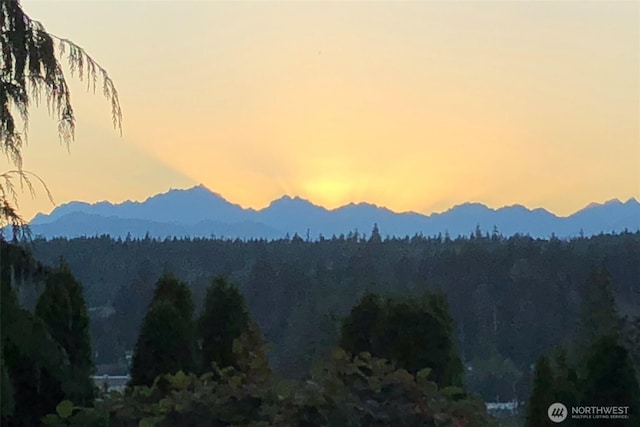 view of mountain feature featuring a wooded view