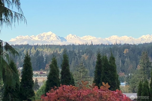 property view of mountains featuring a forest view