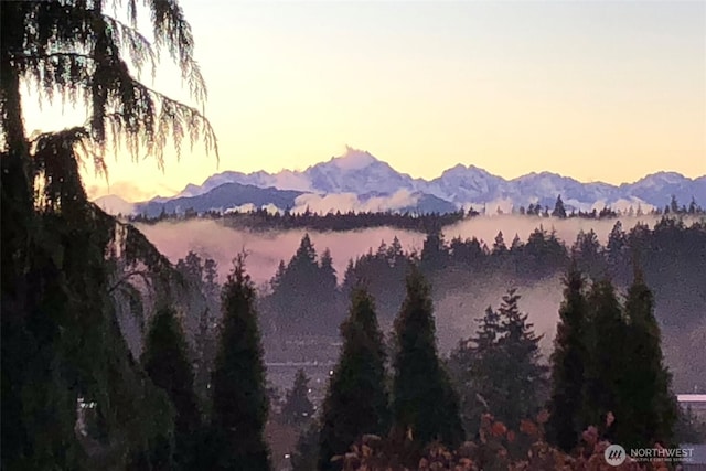 property view of mountains with a view of trees