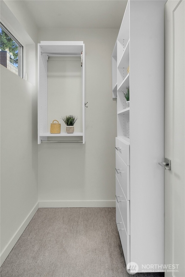 walk in closet featuring carpet floors