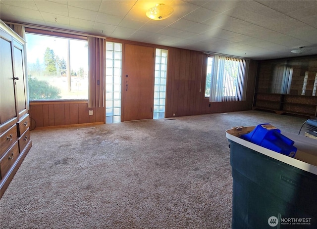 interior space featuring carpet flooring and wooden walls