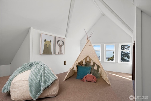 bedroom featuring carpet floors and lofted ceiling