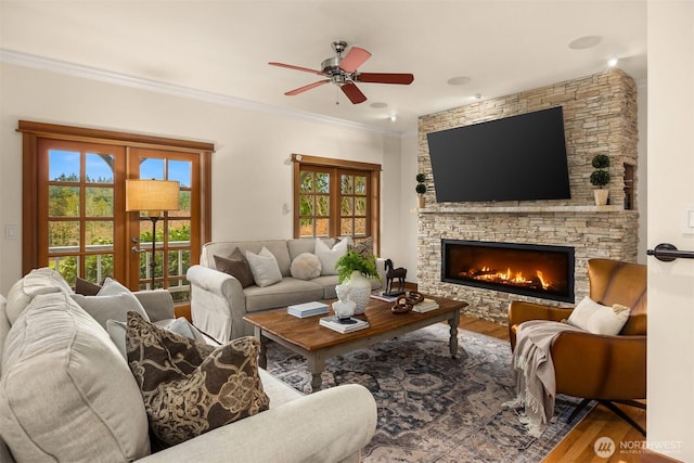 living area featuring a ceiling fan, a fireplace, ornamental molding, and wood finished floors