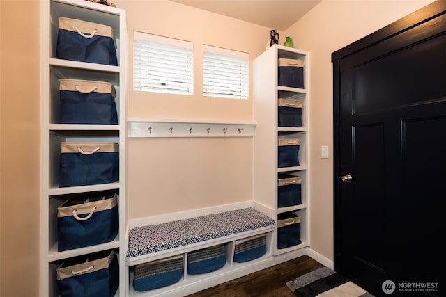 mudroom with dark wood-type flooring