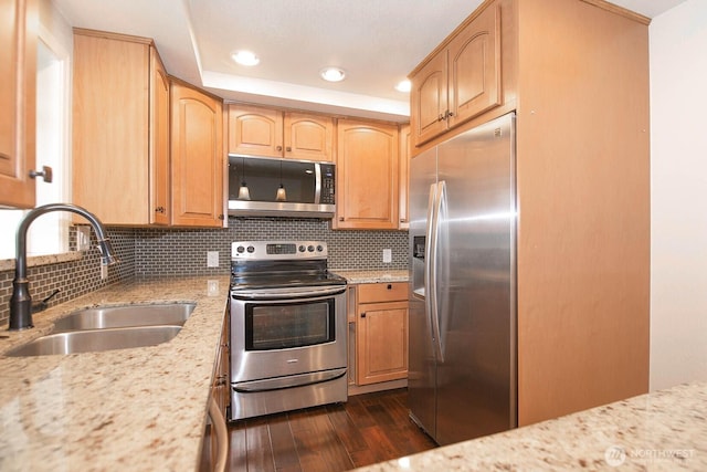 kitchen featuring dark wood-style floors, stainless steel appliances, a sink, and light stone countertops