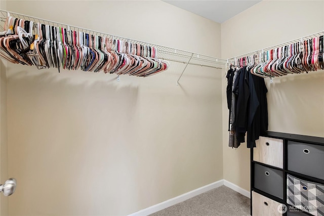 spacious closet featuring light colored carpet