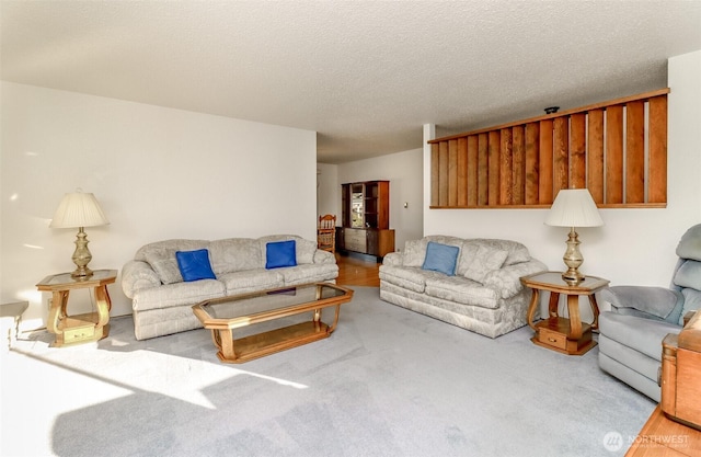 living area featuring a textured ceiling and carpet floors